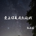 张小磊 - 爱上你是我犯的贱