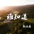 张小磊 - 谁知道