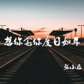 张小磊 - 想你念你度日如年