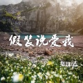 张小磊 - 假装说爱我