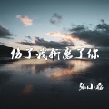 张小磊 - 伤了我折磨了你