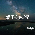 张小磊 - 雪下的时候