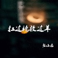 张小磊 - 扛过枪放过羊