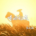 张小磊 - 喝酒的夜