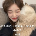 灰猫 - 所有的不期而遇都是命中注定
