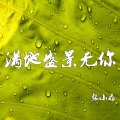 张小磊 - 满地盛景无你