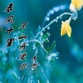 春风十里不如我爱你