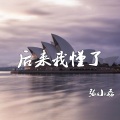 张小磊 - 后来我懂了