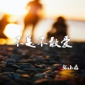 张小磊 - 不是不敢爱