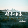 张小磊 - 情不由衷