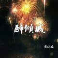 张小磊 - 醉倾城