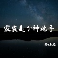张小磊 - 寂寞是个神枪手