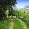 风琉璃、凤鸣喧、虞姬 - 明月千里寄相思