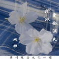 桃梓 - 所以爱会消失 (伴奏)