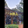 我的名字 (坠入版)