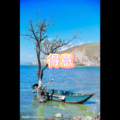 月一 - 离歌