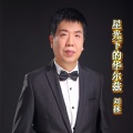刘拯 - 星光下的华尔兹