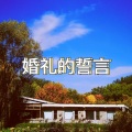 南妹 - 婚礼的誓言 (酒吧版)