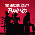 Príncipe Gitano - Por Fiesta en Cabra