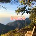 大乔 - 丁香花