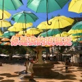 大乔 - 古画