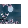 -Yk - 白月光 (完整版|Live|1)