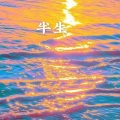 半生