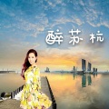 小爱的妈 - 桃花岛