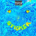 FMG Boyz、Reason - Sticker (Explicit)