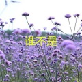 谁不是 (运动版)