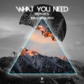 James Black Pitch - What You Need (Club Edit)
