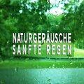 Naturgeräusche: Sanfte Regen