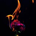 Hector、KILK3R - New Boo