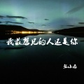张小磊 - 我最想见的人还是你