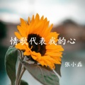 张小磊 - 情歌代表我的心