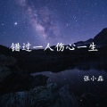 张小磊 - 错过一人伤心一生