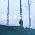 张小磊 - 思念是笼中鸟