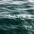 张小磊 - 一个人的旅途