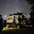 张小磊 - 迷上爱情迷上你