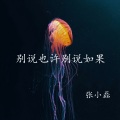 张小磊 - 别说也许别说如果