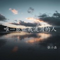张小磊 - 唯一能让我流泪的人