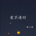 张小磊 - 爱不逢时