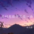 张小磊 - 我好想能再见你一面