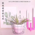 龙庭庭 - 怪我被爱恨迷惑