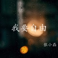 张小磊 - 我要自由