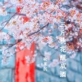 晓星沉 - 三斤桃花酿成酒