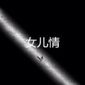 郑子强 - 霍元甲 (乡村版)