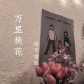 浪子肖辰 - 万里桃花