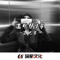 苏七岁 - 再也回不到从前了