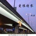 沈若 - 爱恨清零